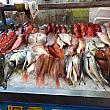 市場では新鮮な魚介類が並べられていて、見ているだけでも楽しいです。
