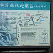 南安瀑布とその周辺の見どころスポット案内マップ。運が良ければ、台湾特有のタイワンザル、キョン（山羌）、サンケイ（藍腹鷴）たちにも会えるそう！