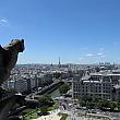 パリのパノラマ☆ノートルダムの塔に上ってみよう！