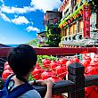 【台湾旅行】台湾の人気観光スポット「九份」「十分」「野柳地質公園...